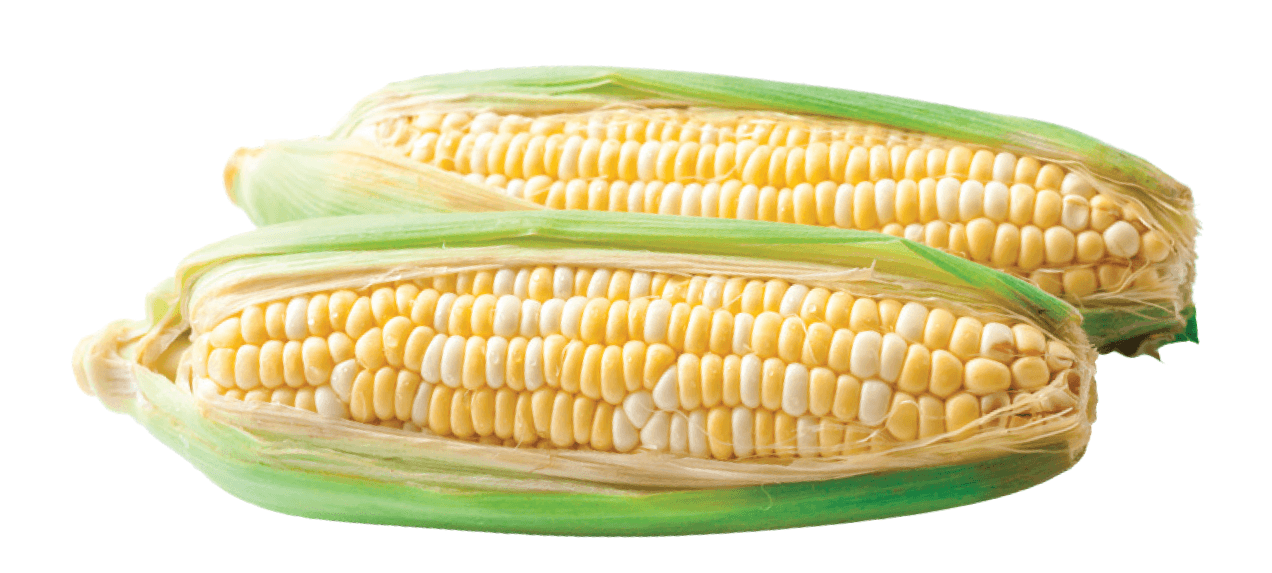 None Fresh & Tender Georgia Sweet Corn