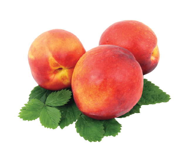 None Fresh & Sweet Georgia Peaches