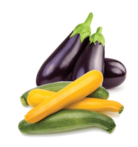None Fresh Purple Eggplant or Green or Yellow Squash