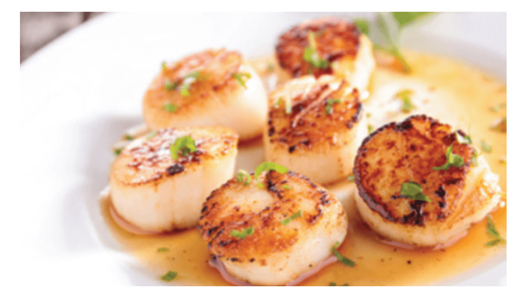 None 10-20 ct. Frozen Sea Scallops